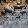 farm animal garden ornaments