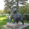 life size bronze bear statue