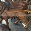 large brass lion statue