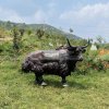 Yak sculpture