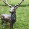 life size bronze stag