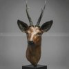 deer head figurine