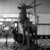 standing stag statue