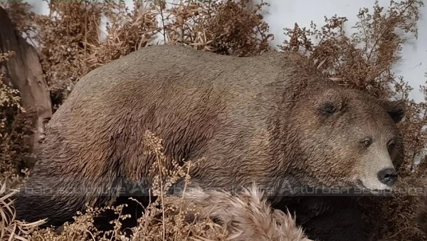 black bear garden decor