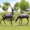 Deer Statue