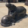 bronze hippo statue