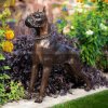 Bronze Boxer Dog Sculpture