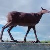 Bronze Doe Statue