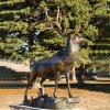 Bronze Reindeer Statue