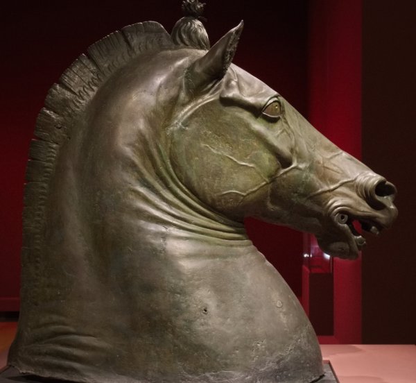 Medici Riccardi Horse Head