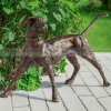 Bronze Hunting Dog Sculpture