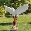 White Bald Eagle Statue