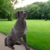 black lab puppy statue