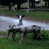 large deer lawn ornaments