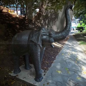 large elephant yard statues