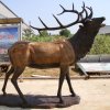 outdoor elk statue