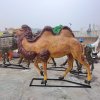 Fiberglass Camel