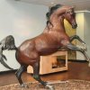 Prancing Horse Statue