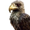 Bald Eagle Statues for Sale