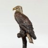 Bald Eagle Statues for Sale