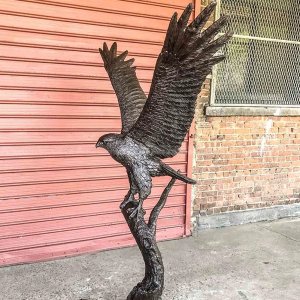 Bronze Hawk Statue