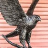 Bronze Hawk Statue