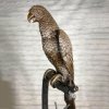 Large Parrot Statue