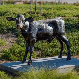 Life Size Calf Statue