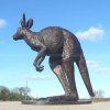 Big Kangaroo Statue