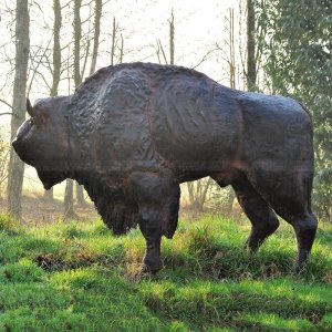 Bison Garden Statue