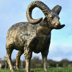 Bronze Ram Sculpture