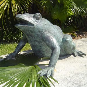 Frog Pool Fountain