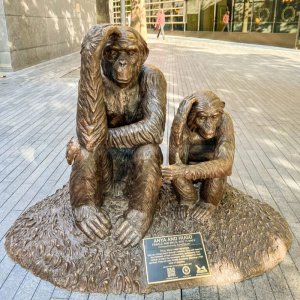 Monkey Outdoor Statue