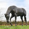 Western Horse Sculpture