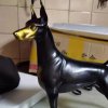 Life Size Doberman Pinscher Statue