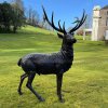 Life Size Stag Statue