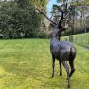 Life Size Stag Statue