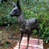 Roe Deer Sculpture