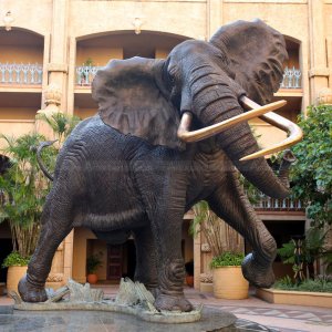 Shawu Elephant