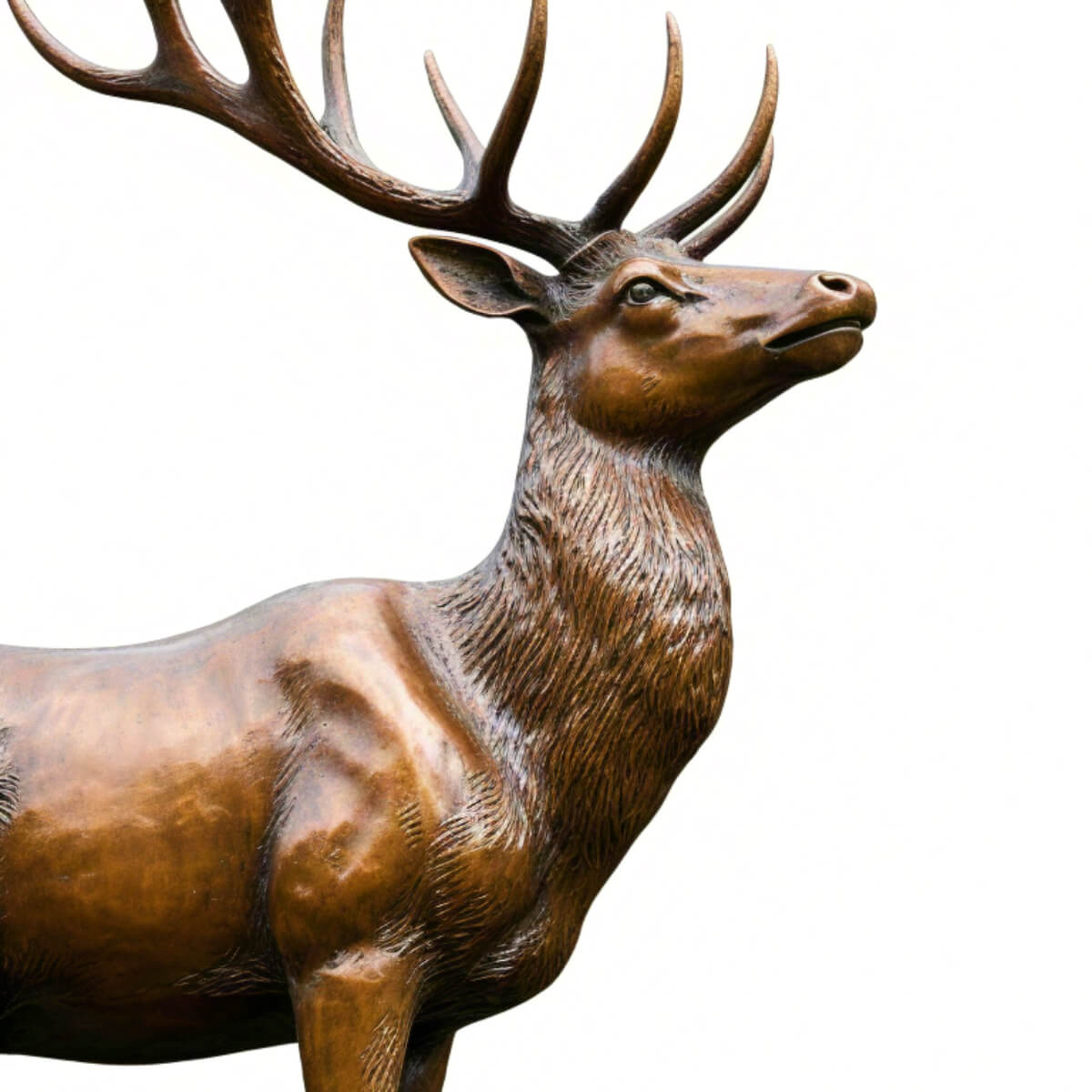 Bronze Deer Statue Outdoor