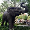 Jumbo Elephant Statue