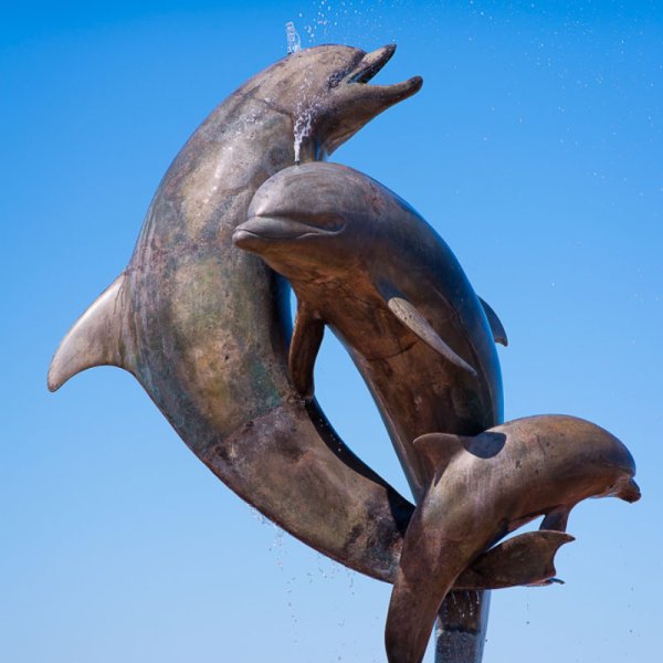 Large Dolphin Fountain