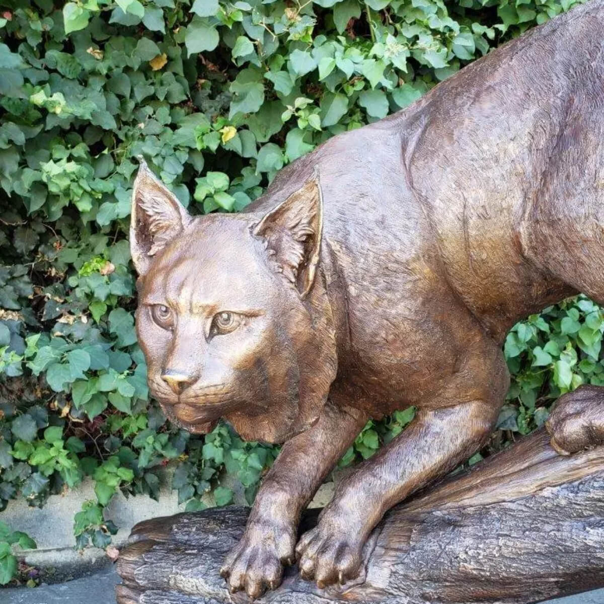 Bobcat Sculpture