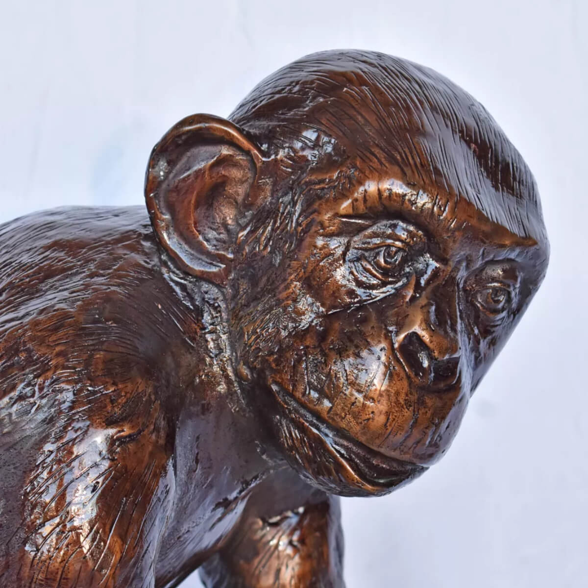 Bronze Chimp Sculpture for Sale