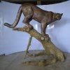 Life Size Mountain Lion Statue