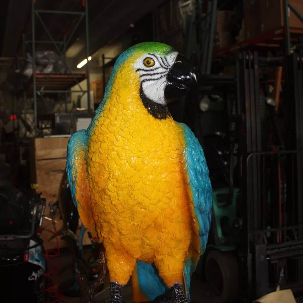 Macaw Parrot Statue