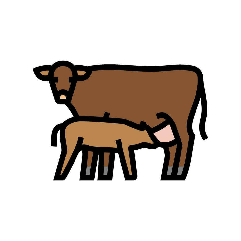 calf