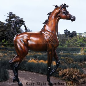 Arabian Horse Bronze