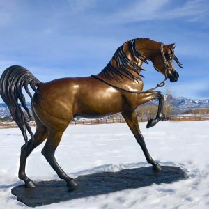 Arabian Horse Bronze