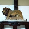 fiberglass lion walking figurines